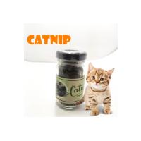 Catnip Doğal Kedi Otu - Kedi Nanesi