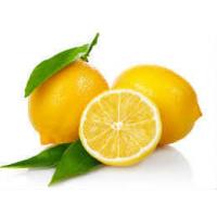 Limon Bonesi / 50 Adet / Bitki Çayı Bonesi